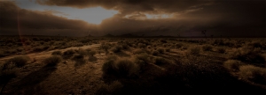 Ultimate Graveyard Mojave Desert Film Location - Desert Brush