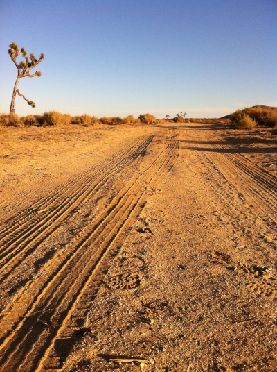 UltimateGraveyard Mojave Desert Photography & Film Location - Joshua Trees & Long Dirt Roads