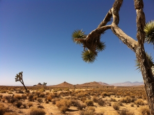 UltimateGraveyard Mojave Desert Filming & Photography Location - Joshua Trees & Mountain Views