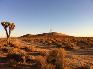 UltimateGraveyard Mojave Desert Filming & Photography Location - Joshua Trees & Sunset Mountain View