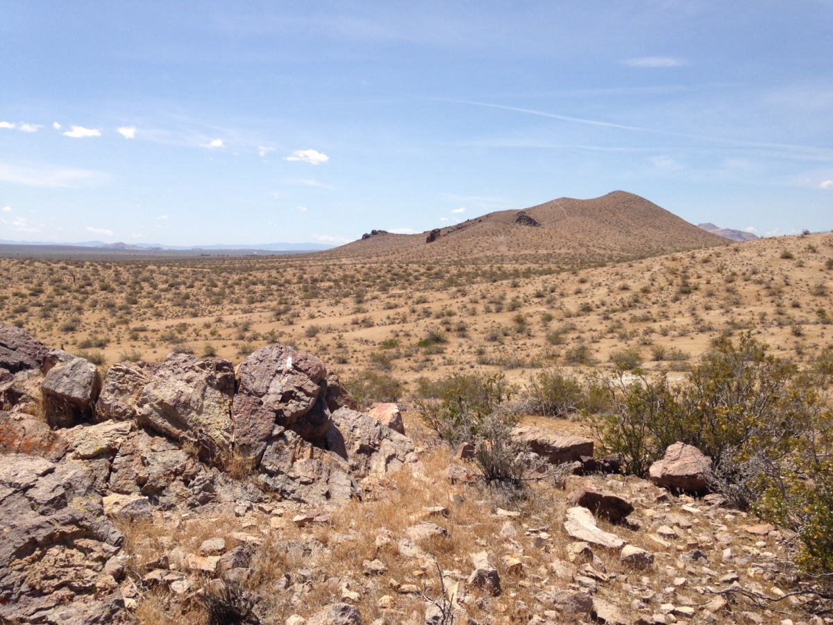 Desert Landscape | Ultimate Graveyard