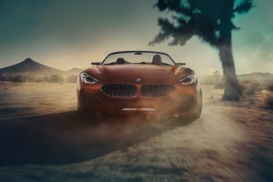 UltimateGraveyard: BMW Z4 Concept Car Front - Joshua Trees - Photo by Agnieszka Doroszewicz