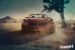 UltimateGraveyard: BMW Z4 Concept Car Front - Joshua Trees - Photo by Agnieszka Doroszewicz